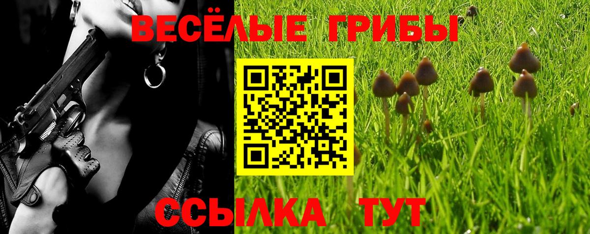 Галлюциногенные грибы MAGIC MUSHROOMS Узловая