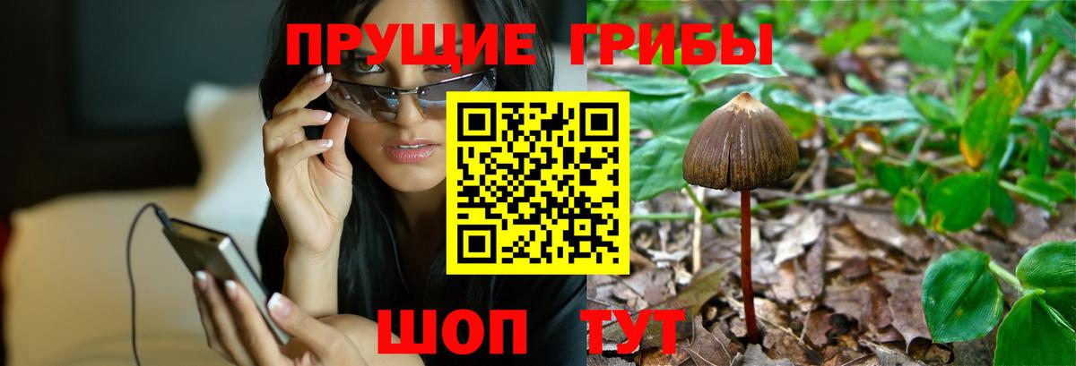 Галлюциногенные грибы GOLDEN TEACHER  Вход с VPN  Узловая 